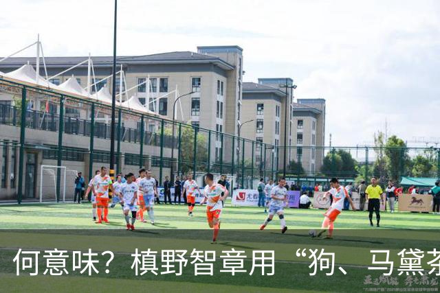 何意味？槙野智章用“狗、马黛茶”等图片当暗号向球员传递战术
